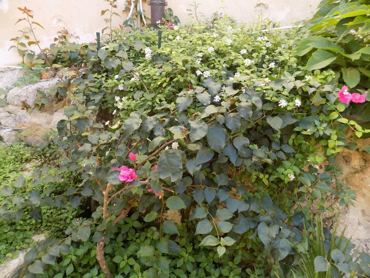 Garden&House Amore Vero Modica Exterior foto